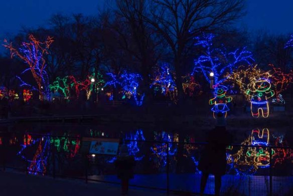 zoolights1